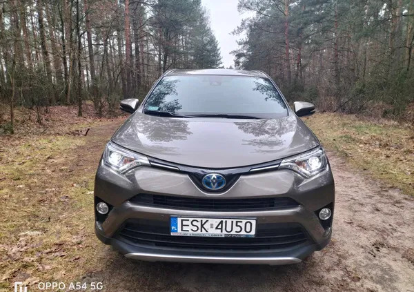 toyota rav4 Toyota RAV4 cena 89000 przebieg: 137000, rok produkcji 2017 z Skierniewice